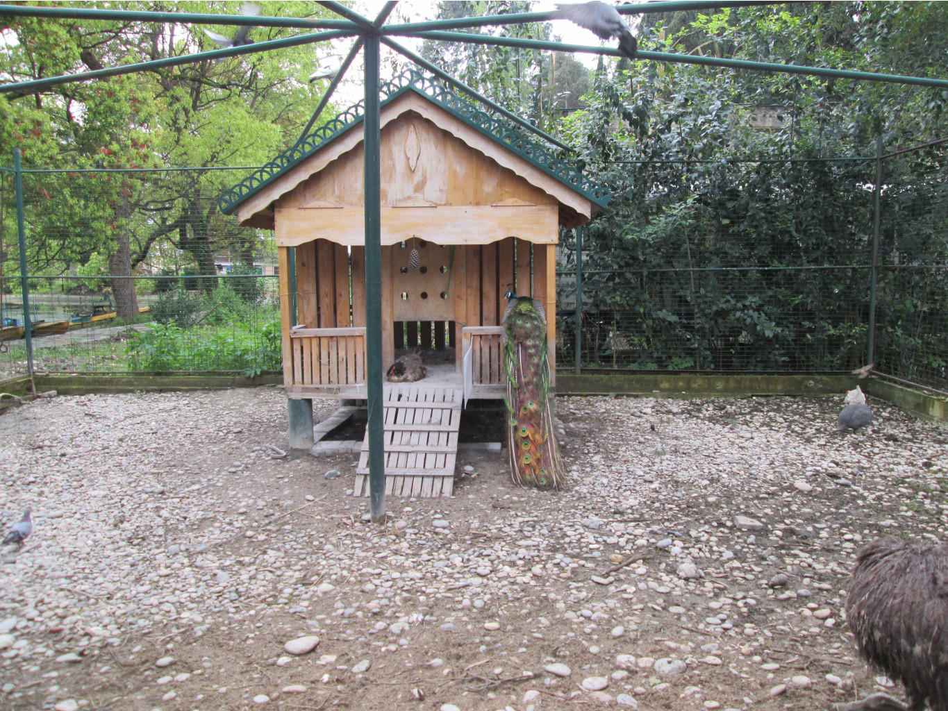 IMG 2989.JPG