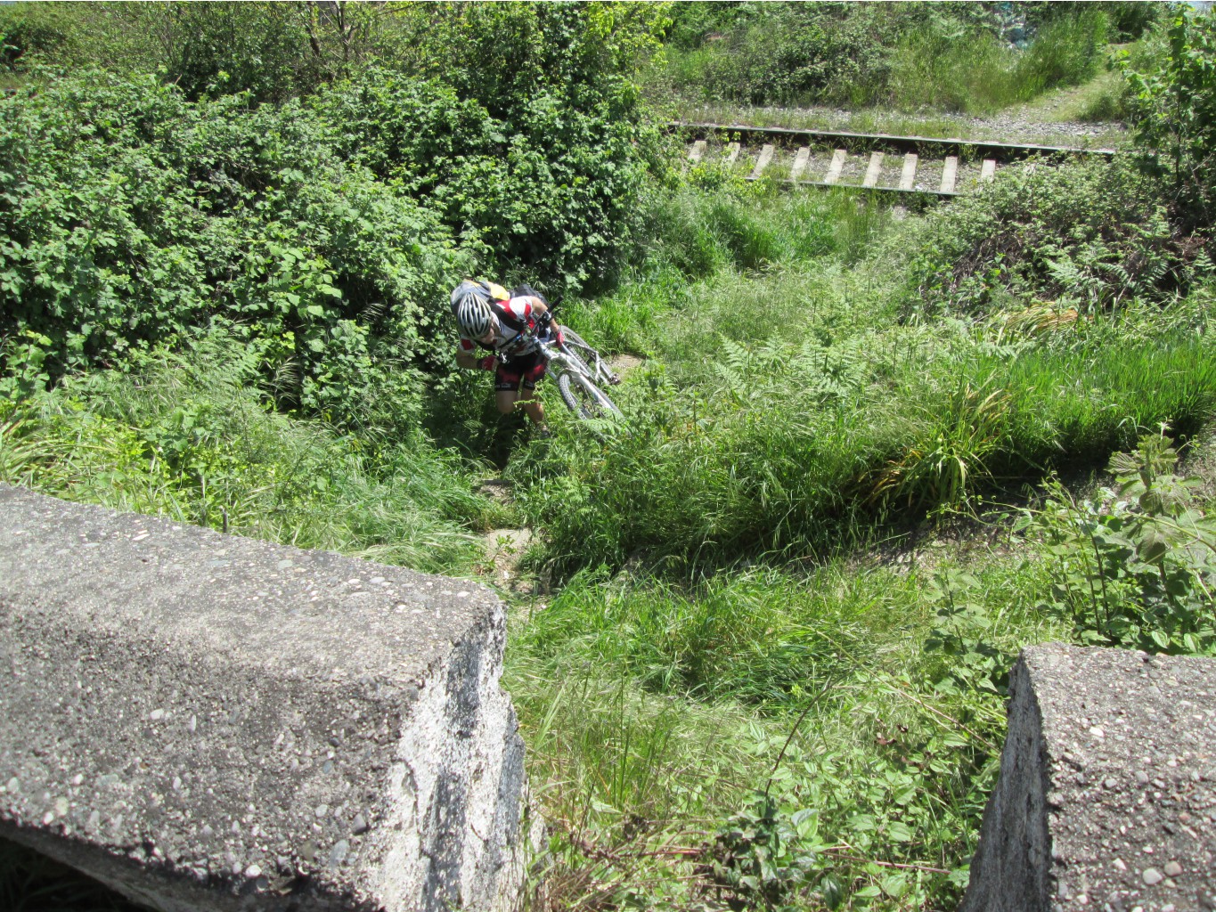 IMG 2318.JPG