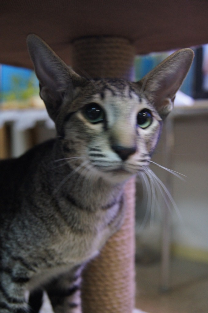 DSC04256.JPG