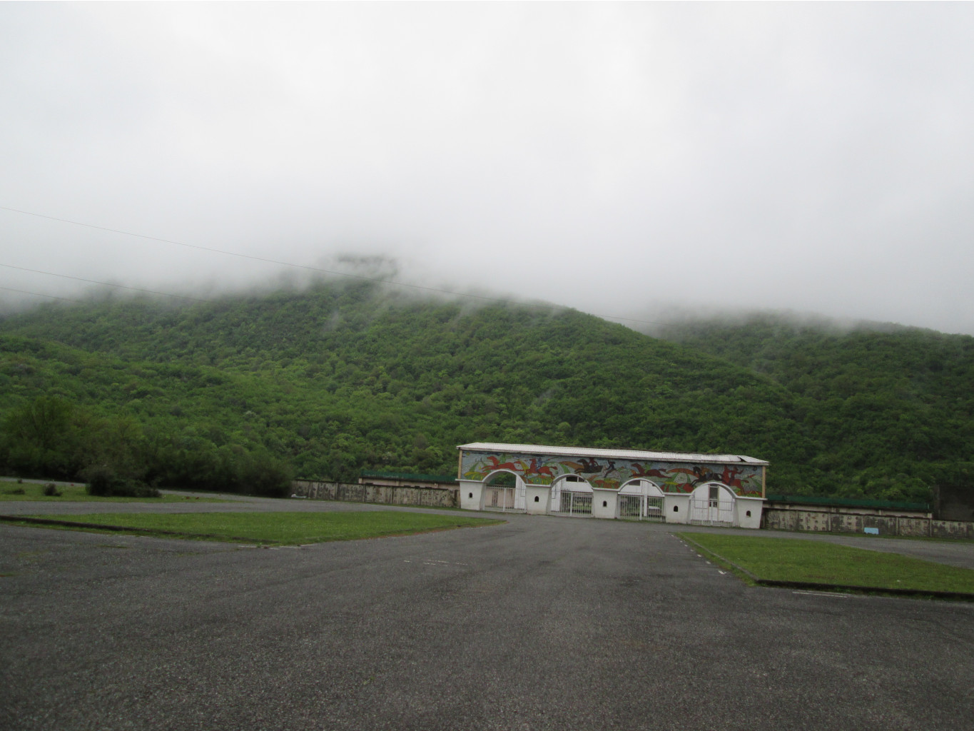 IMG 2569.JPG