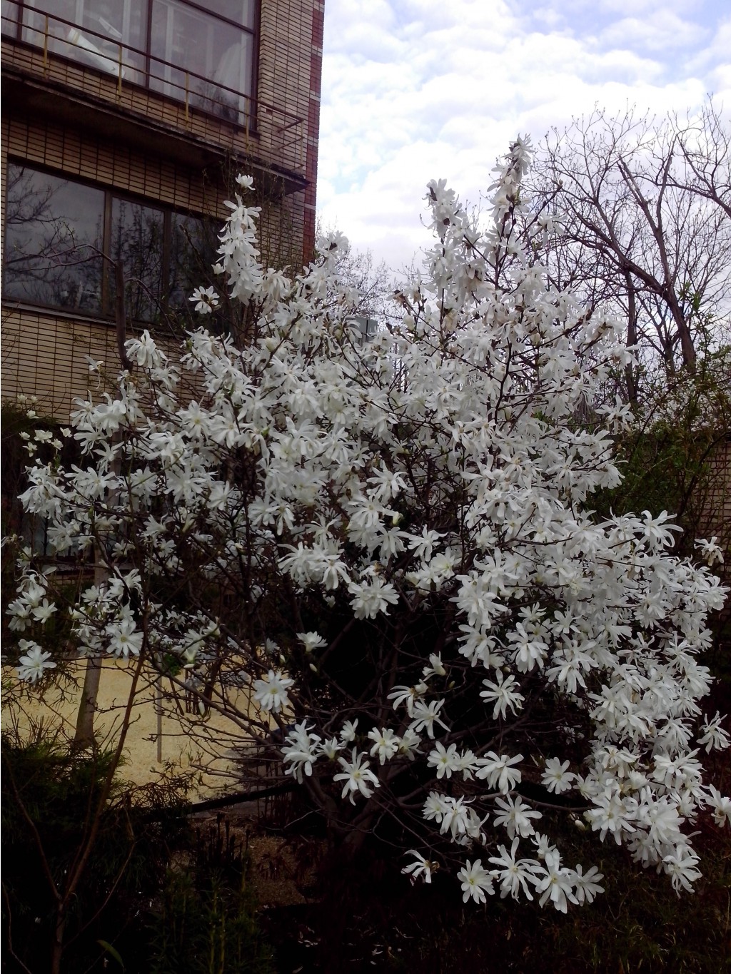 IMG_20150504_182425.jpg