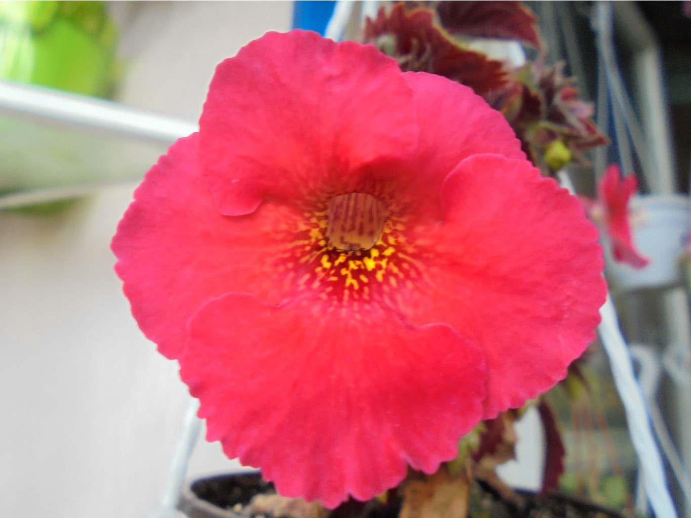 DSC00372.JPG