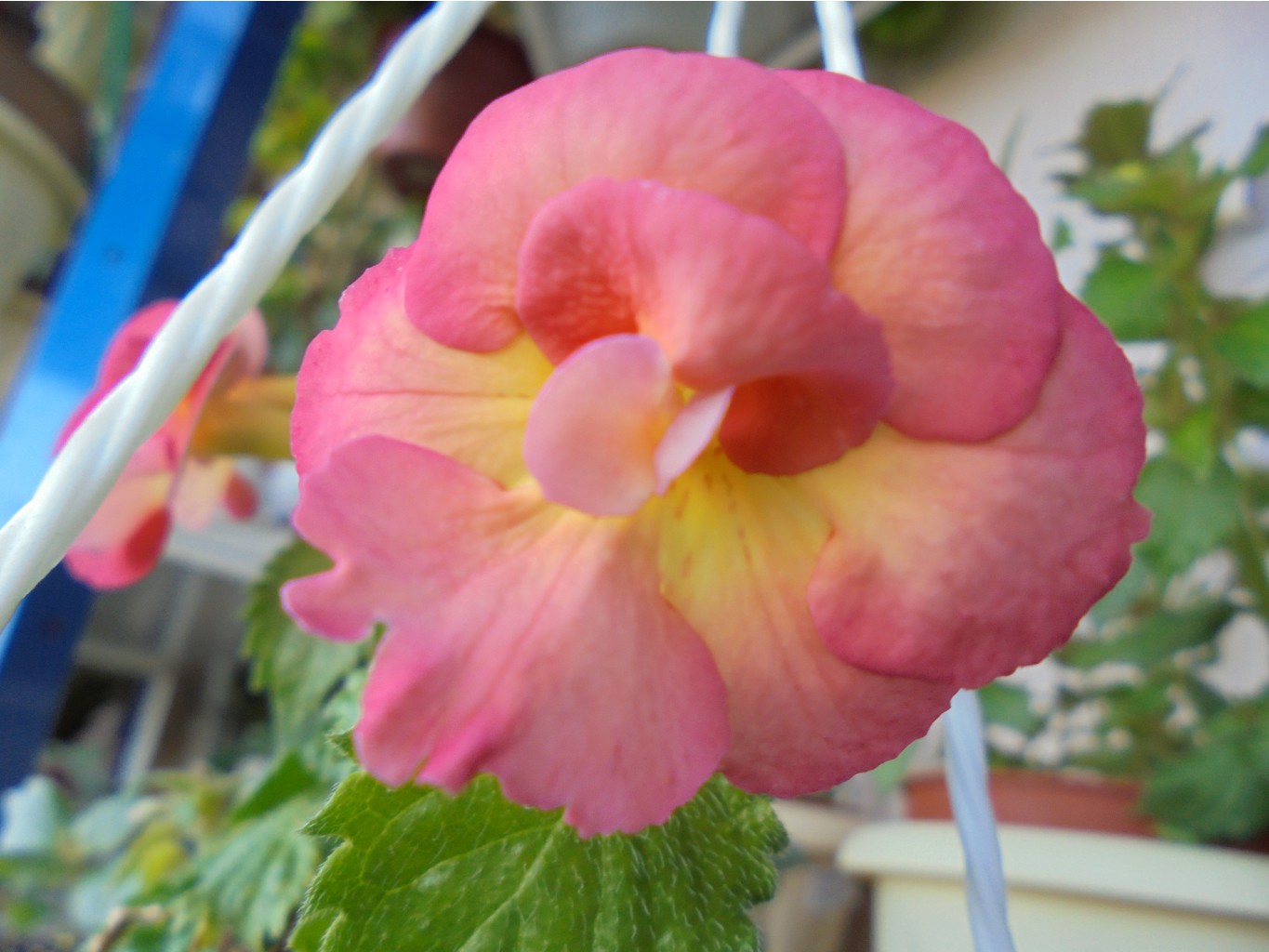 DSC00390.JPG