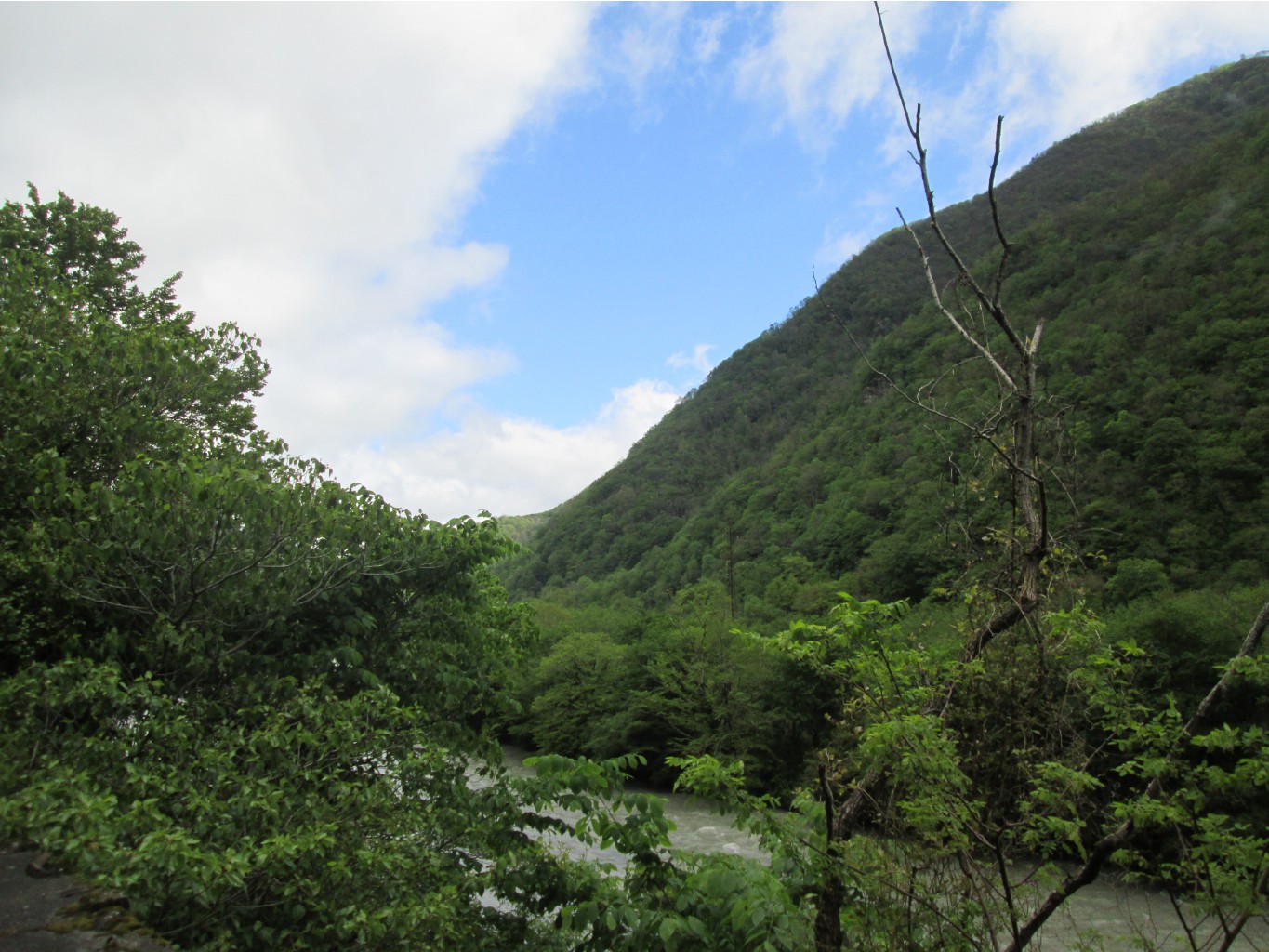 IMG 2588.JPG