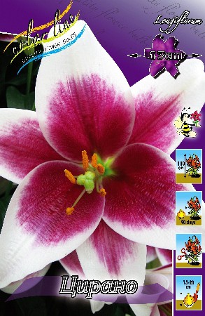 20,83.   (      7.).jpg