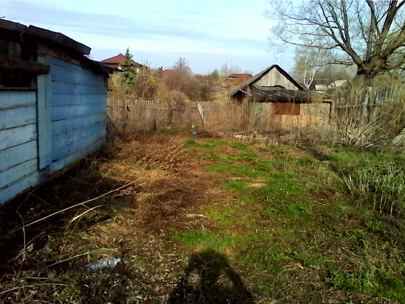 IMG_20150504_072310.jpg