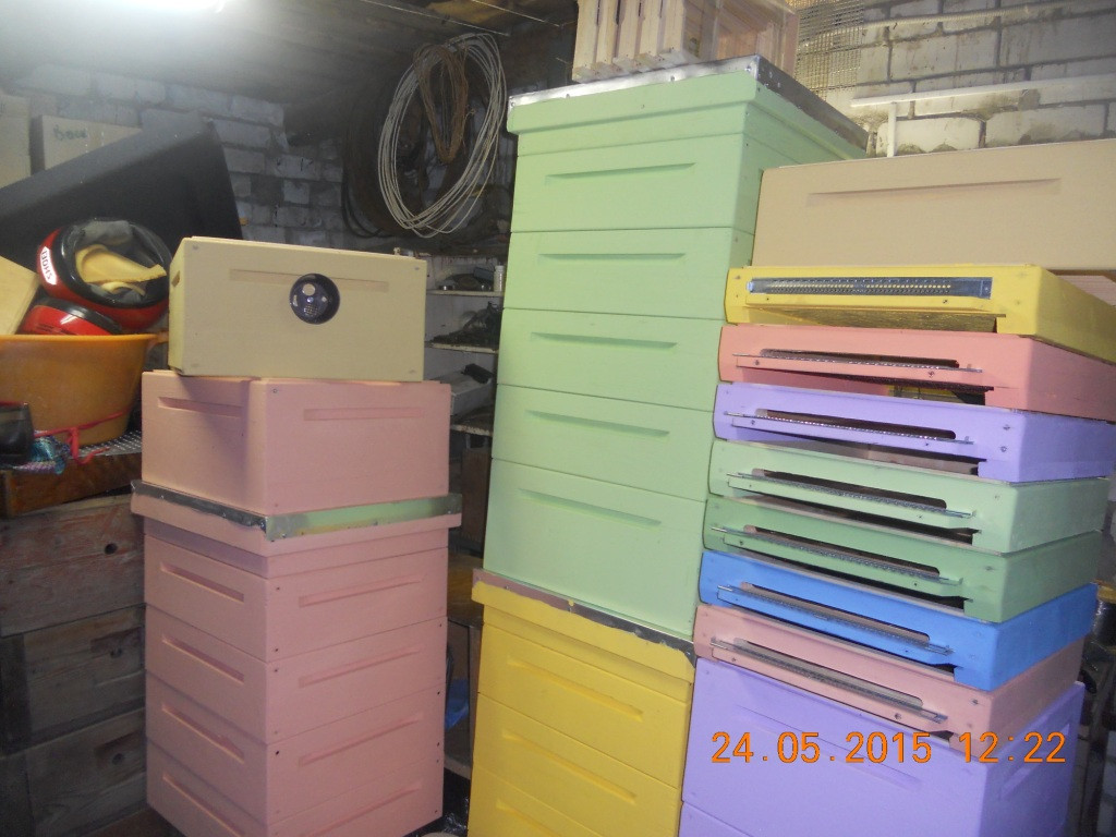 DSCN0129.JPG