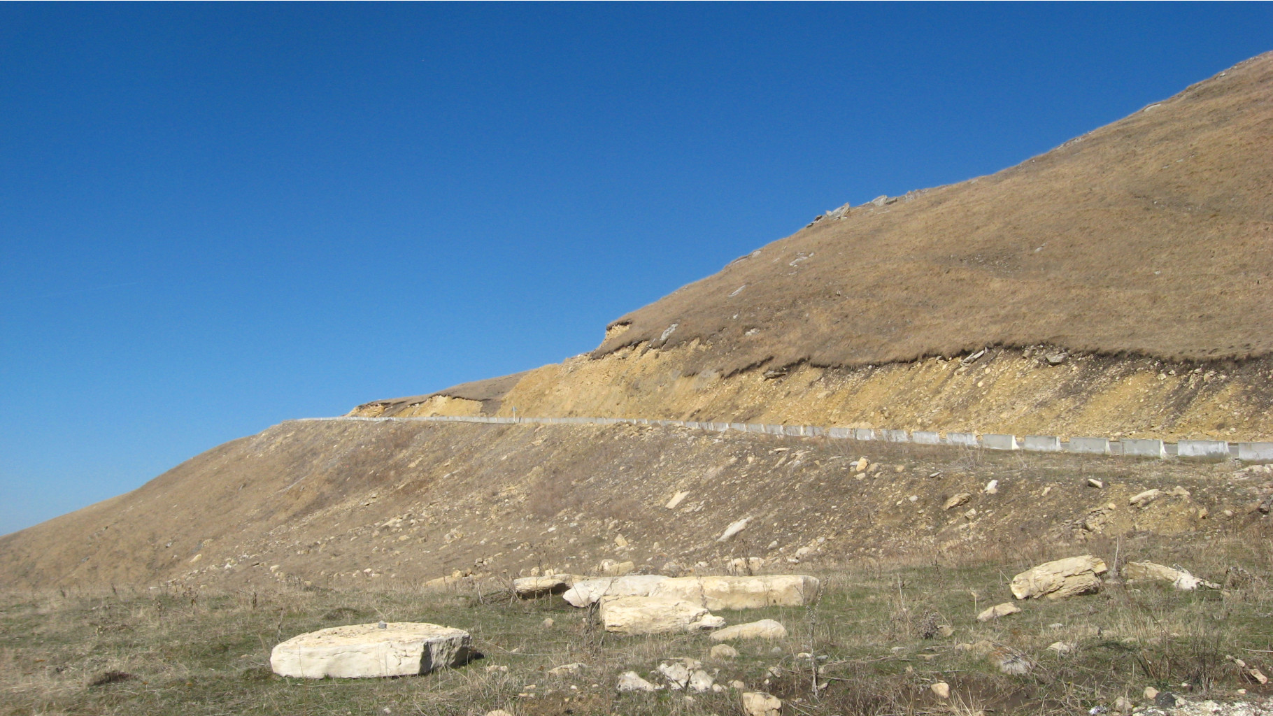 IMG 0132.JPG