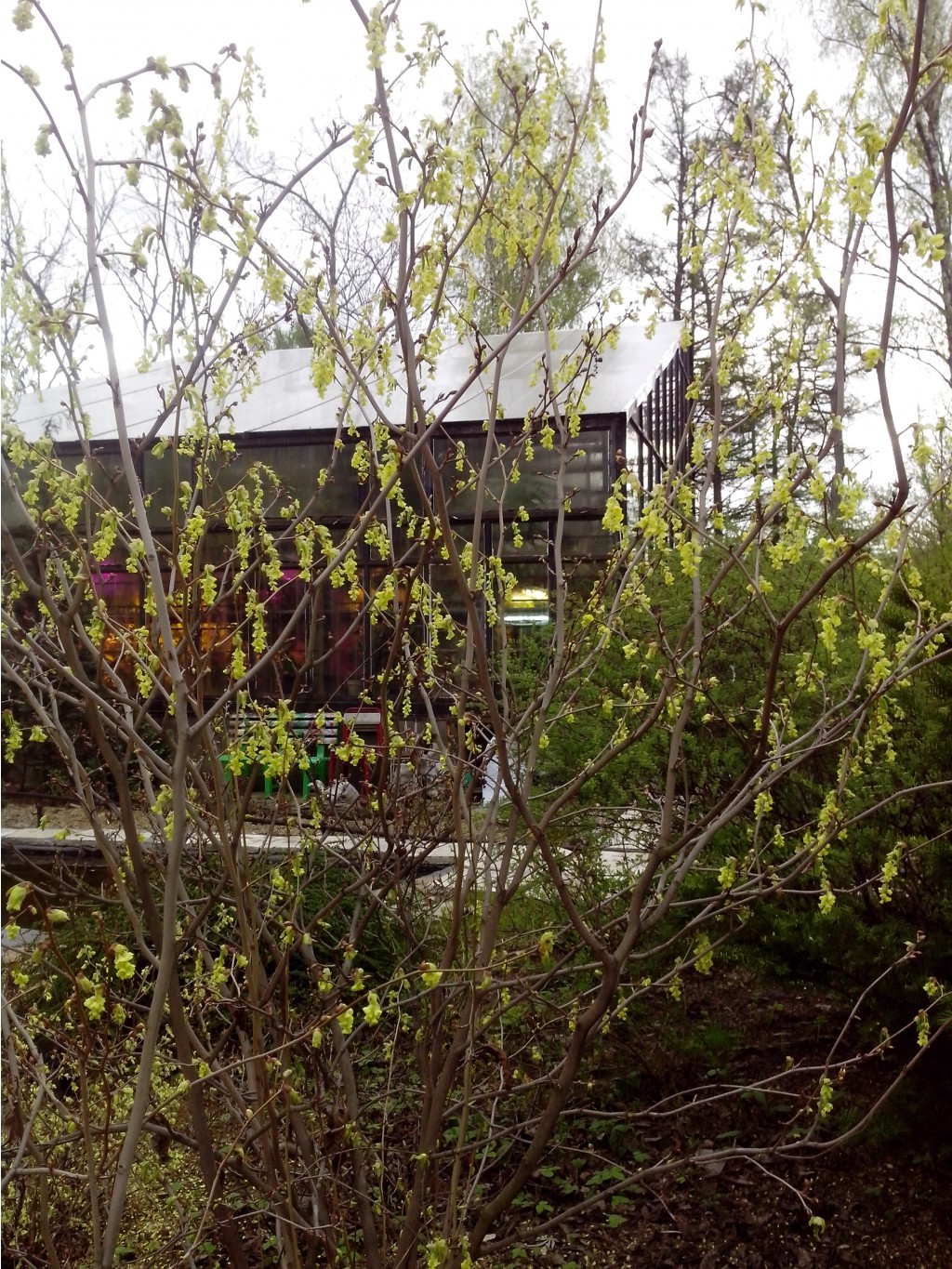 IMG_20150504_175643.jpg