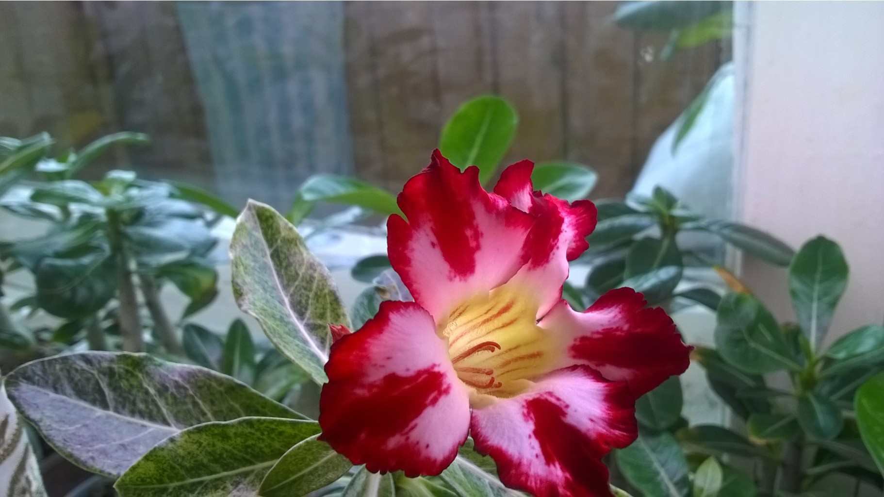 WP 20150515 11 26 15 Pro.jpg