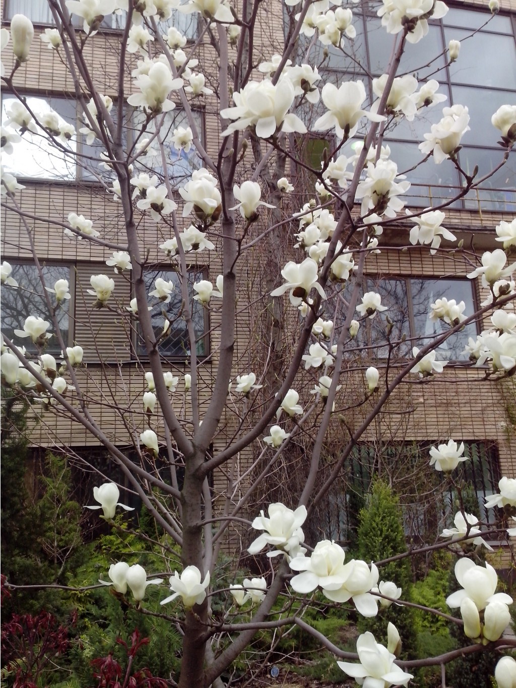 IMG_20150504_175925.jpg