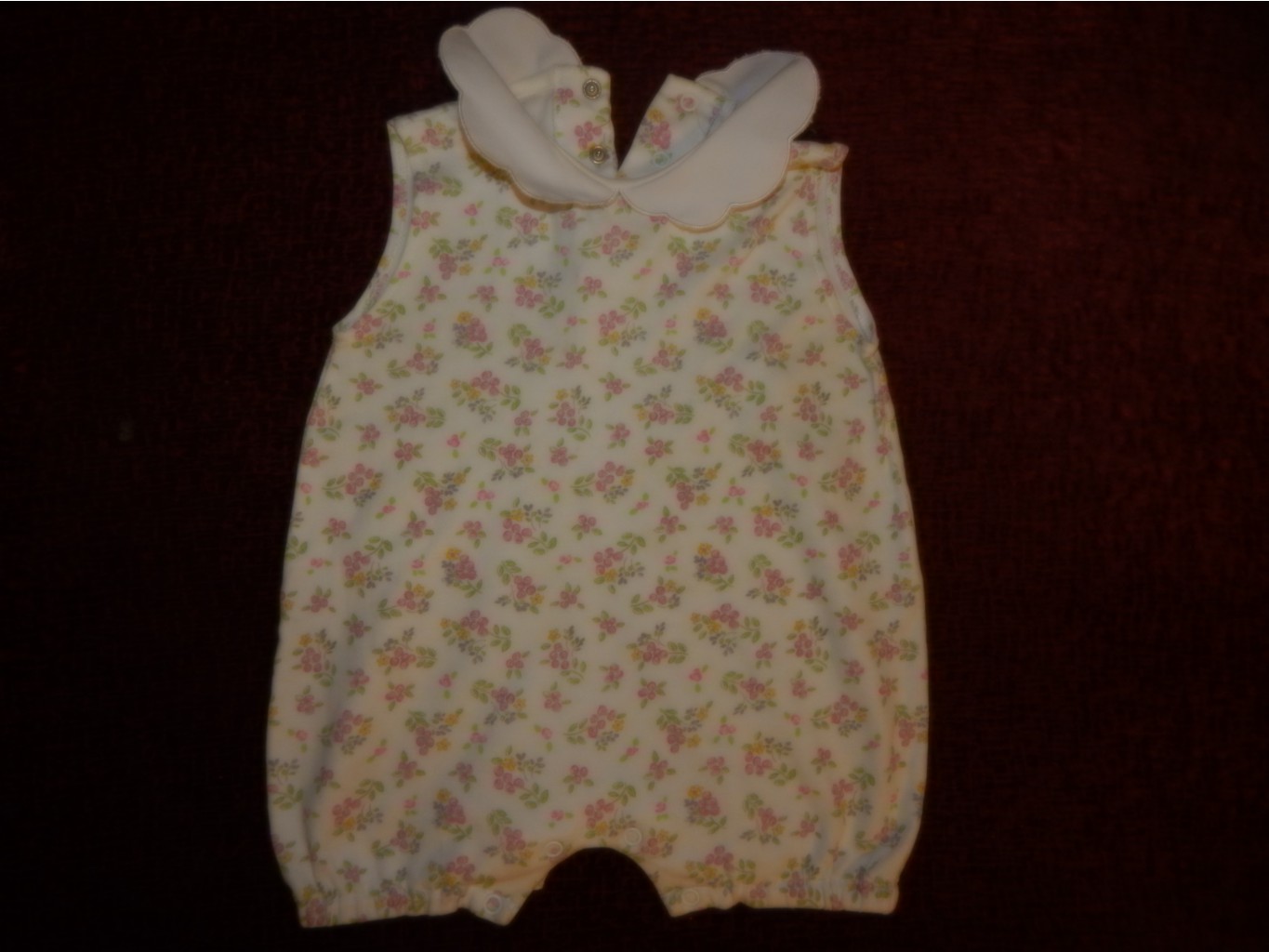 DSCN1613.JPG