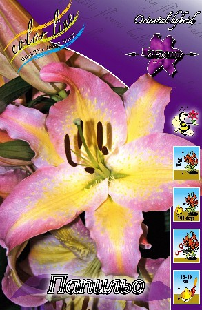 17,94.   (     5.).jpg