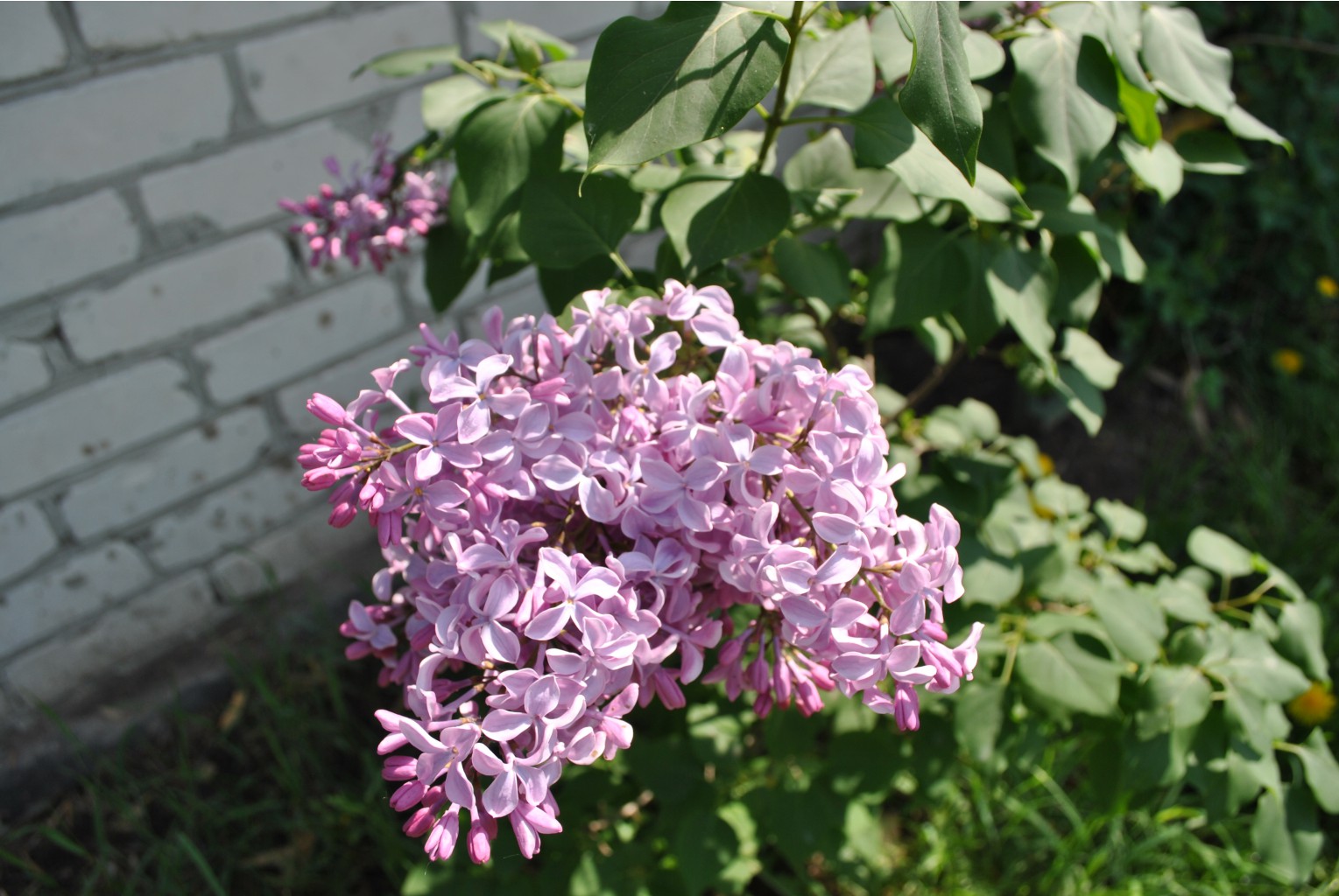DSC 0054.JPG