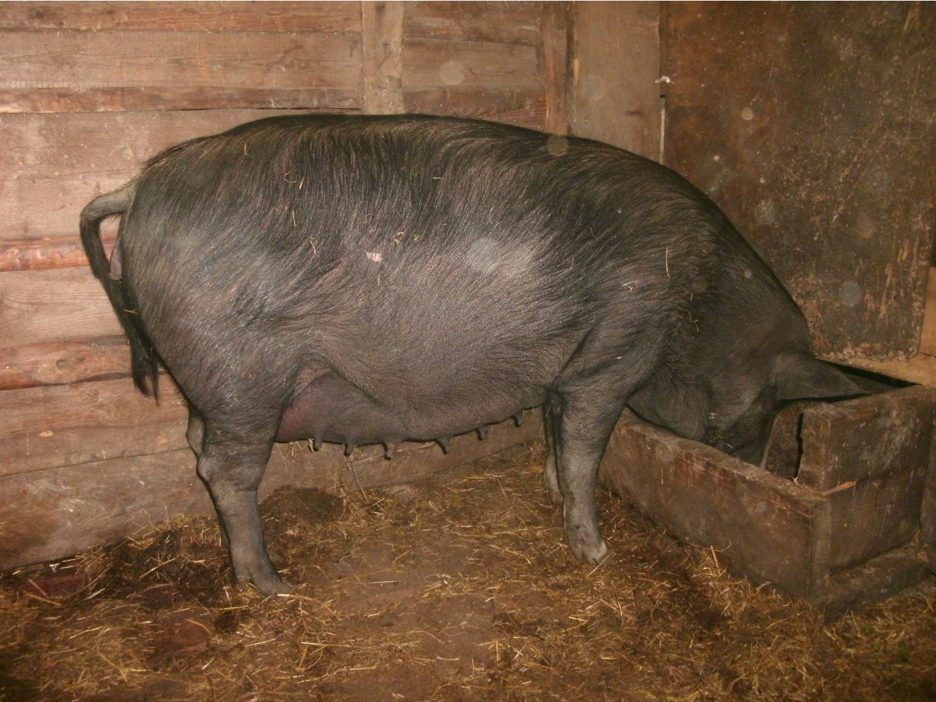 GEDC0329.JPG