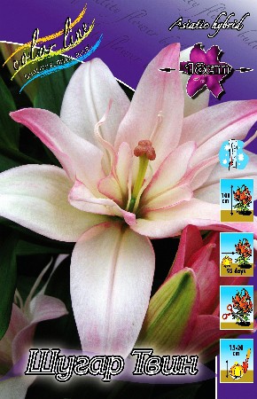 36,68.      (LA HYBRID)(   10 .,   1.)14.jpg