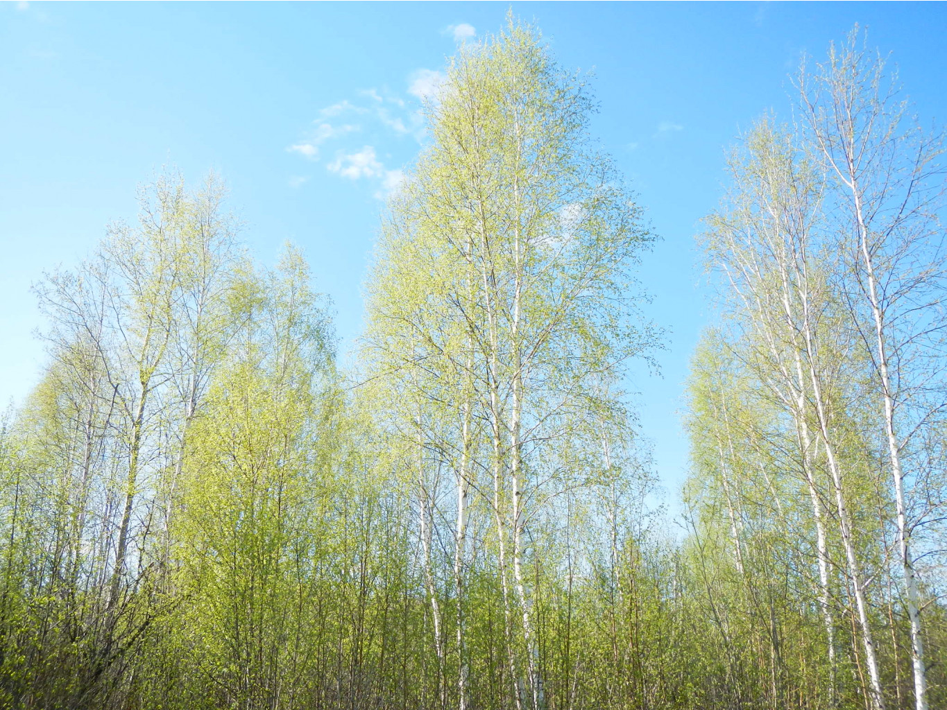 DSCN2079.JPG