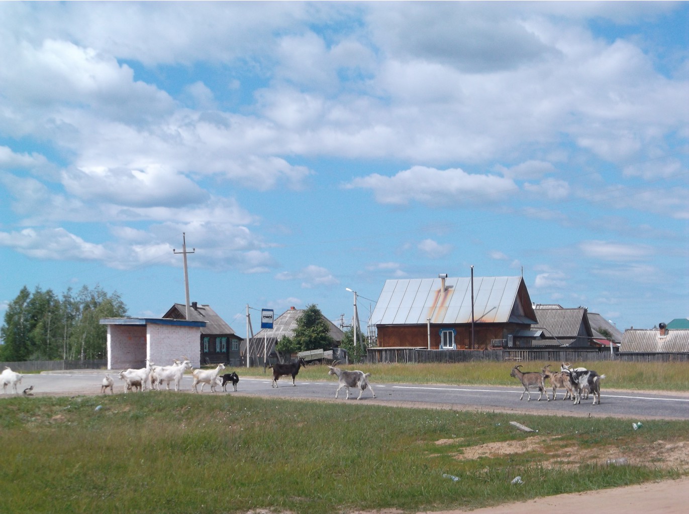 DSCF9369.JPG