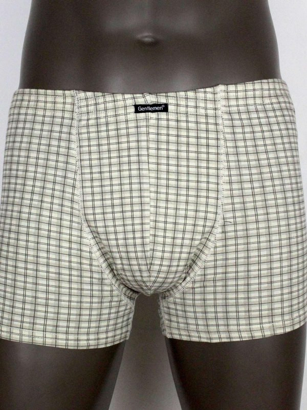  .GENTLEMEN GS46 355,00