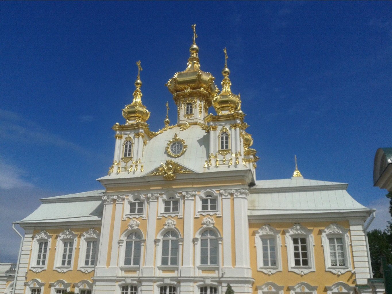 20150602 115911.jpg