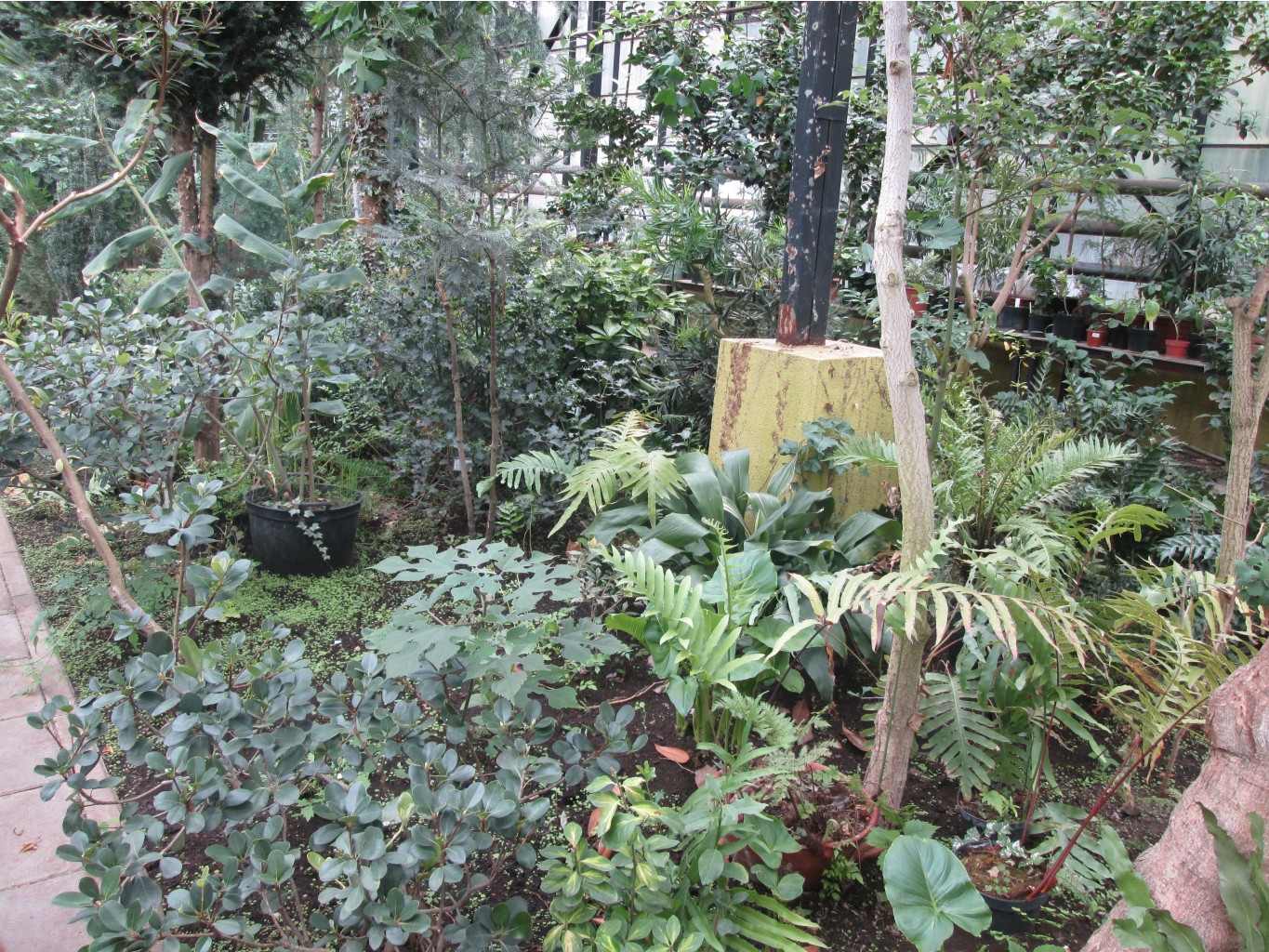 IMG 3307.JPG
