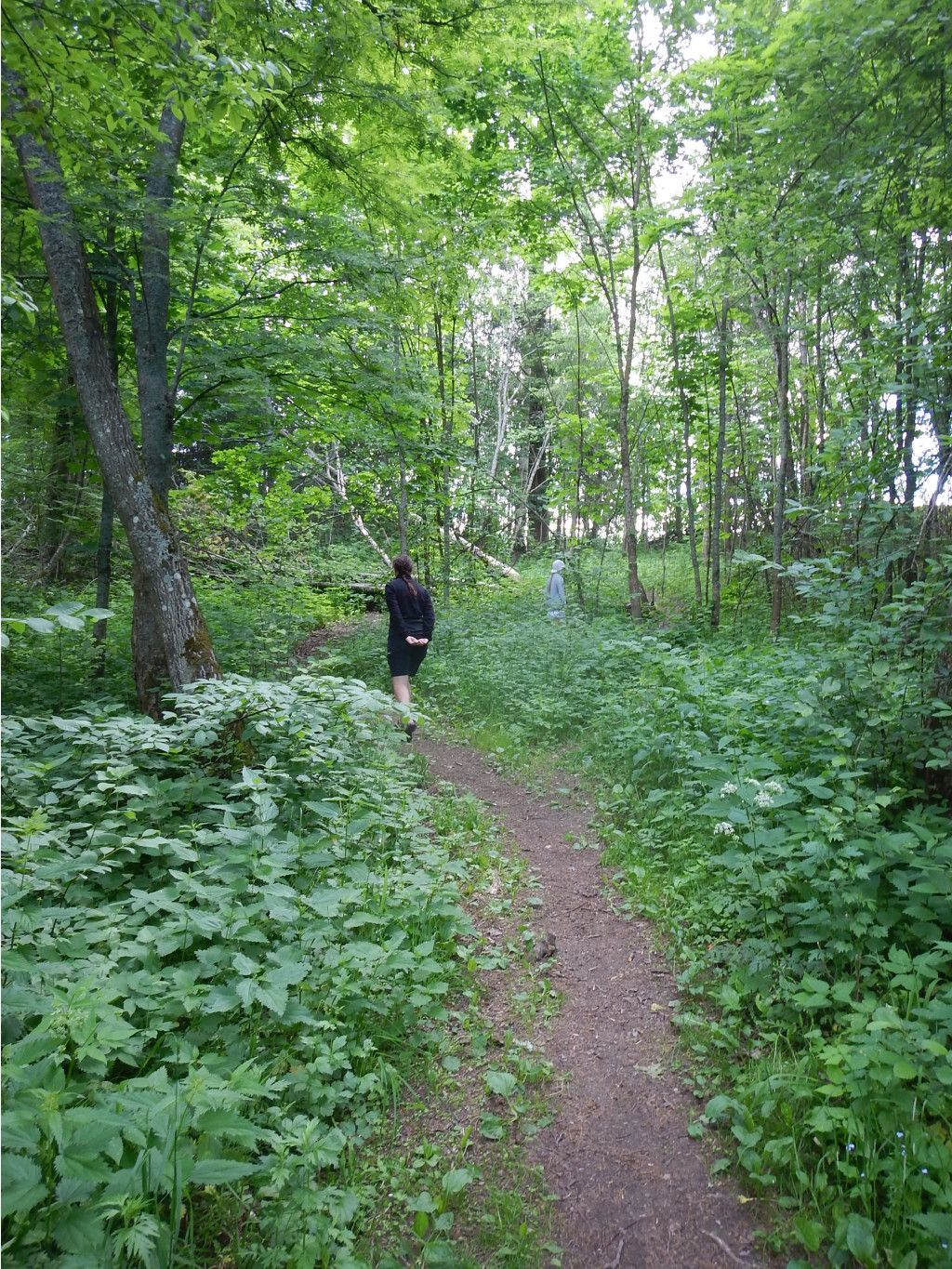 DSCN3897.JPG