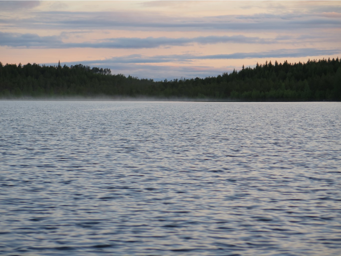 IMG 0225.JPG