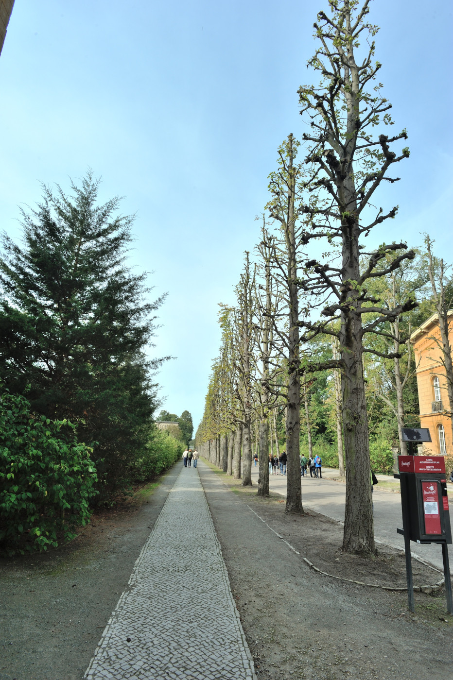 DSC 0790.JPG
