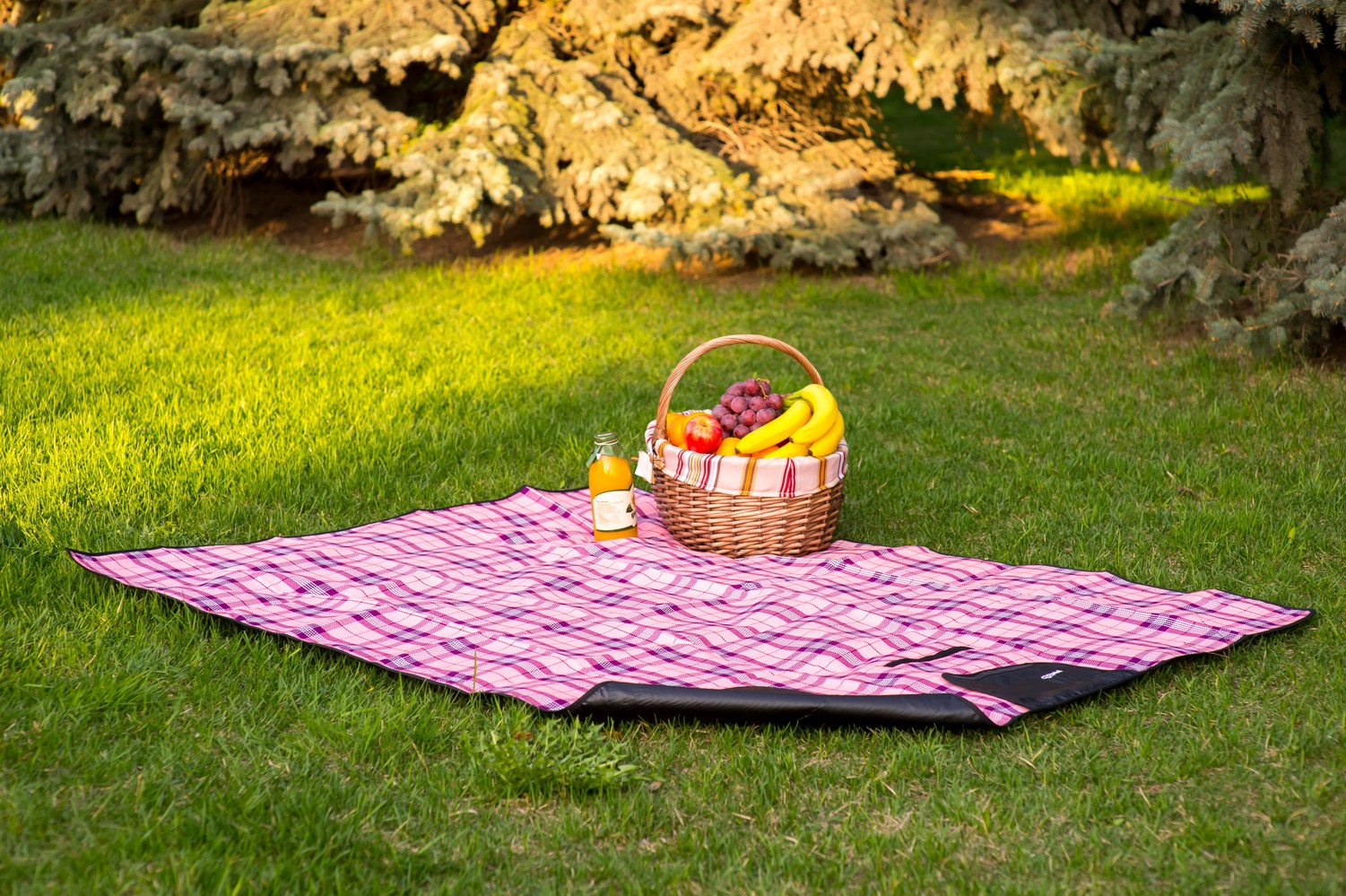 Picnic Pink.JPG