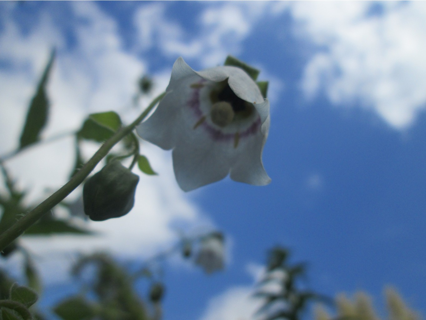 IMG 3367.JPG