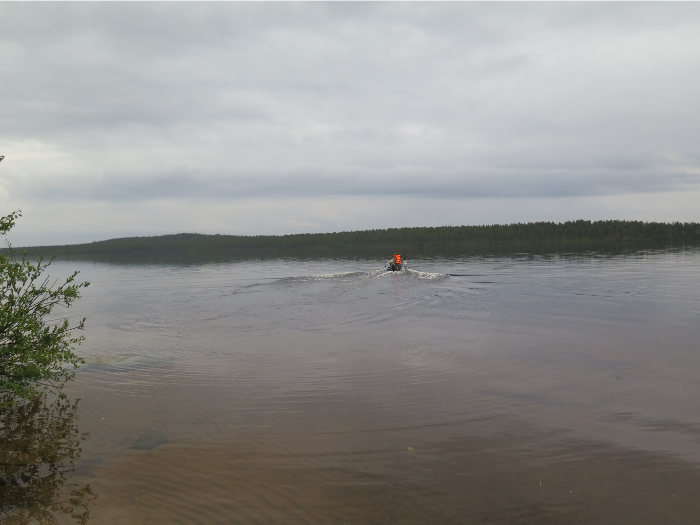 IMG 0249.JPG