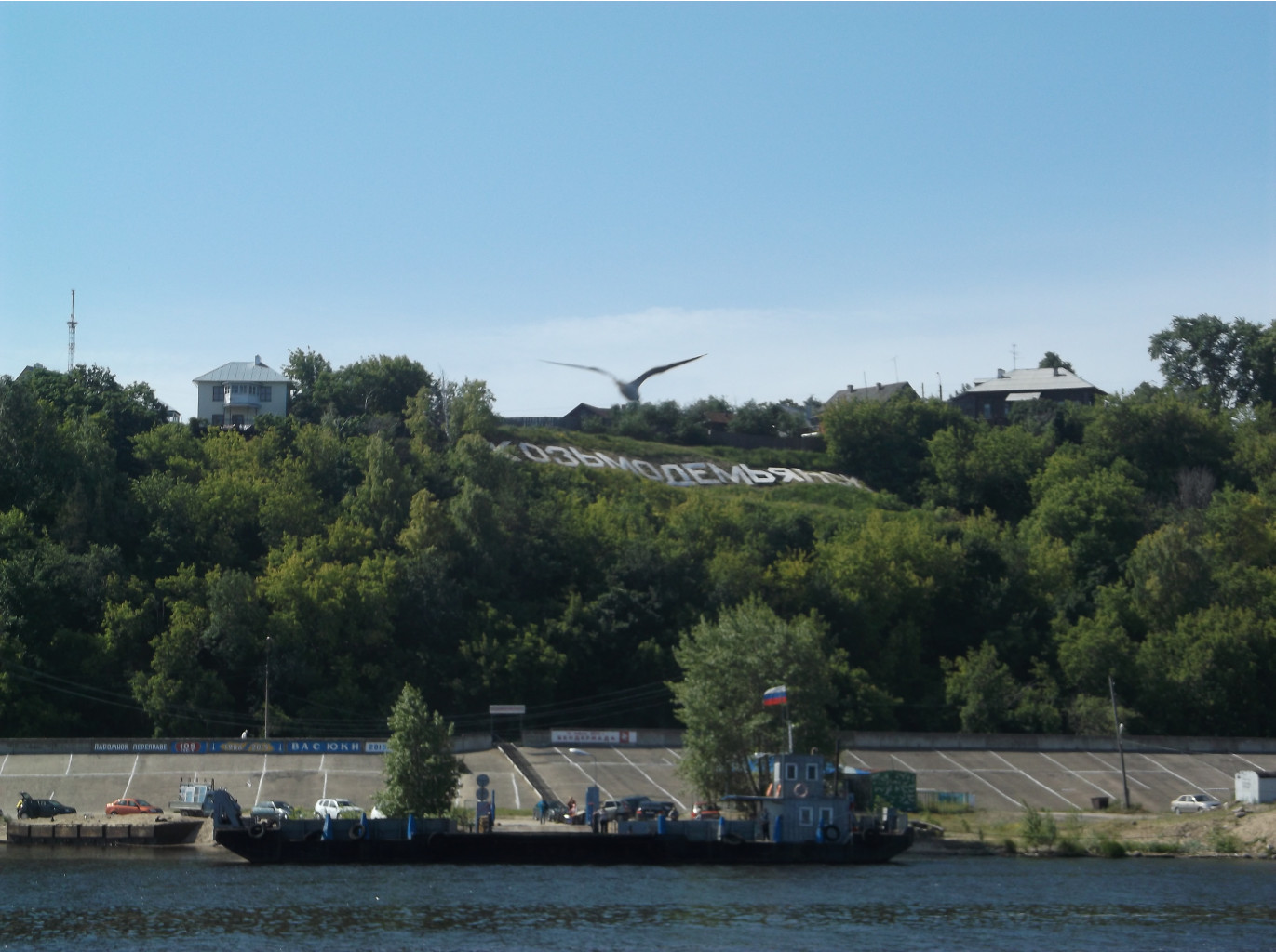 DSCF9449.JPG