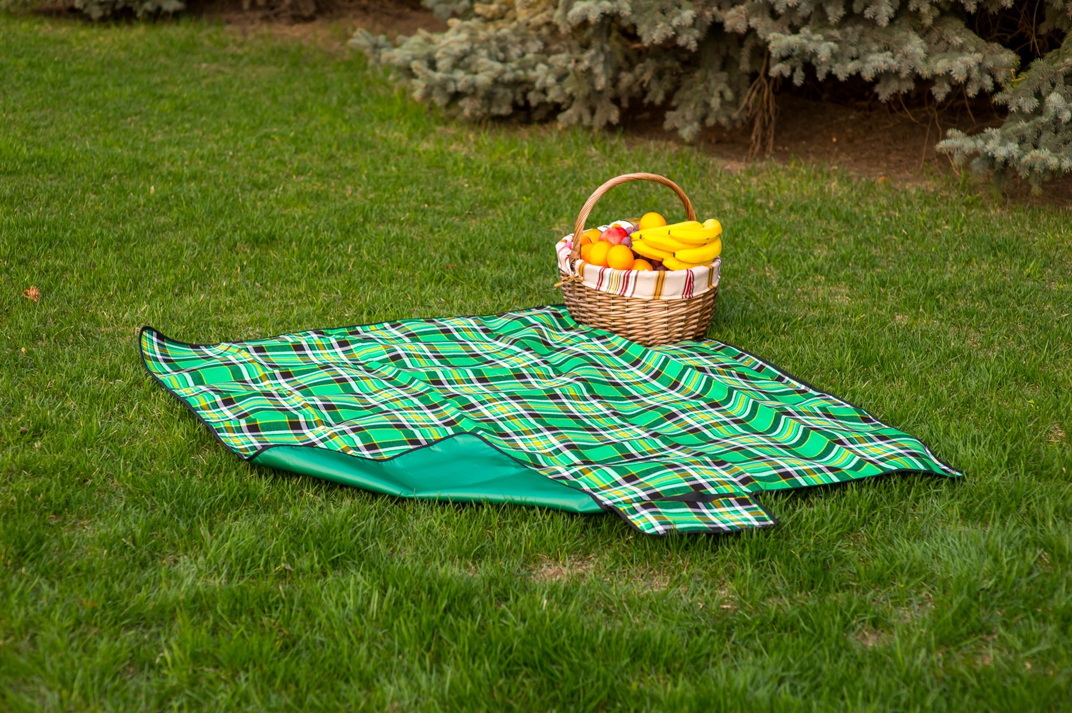 Sleepy Picnic Green.JPG