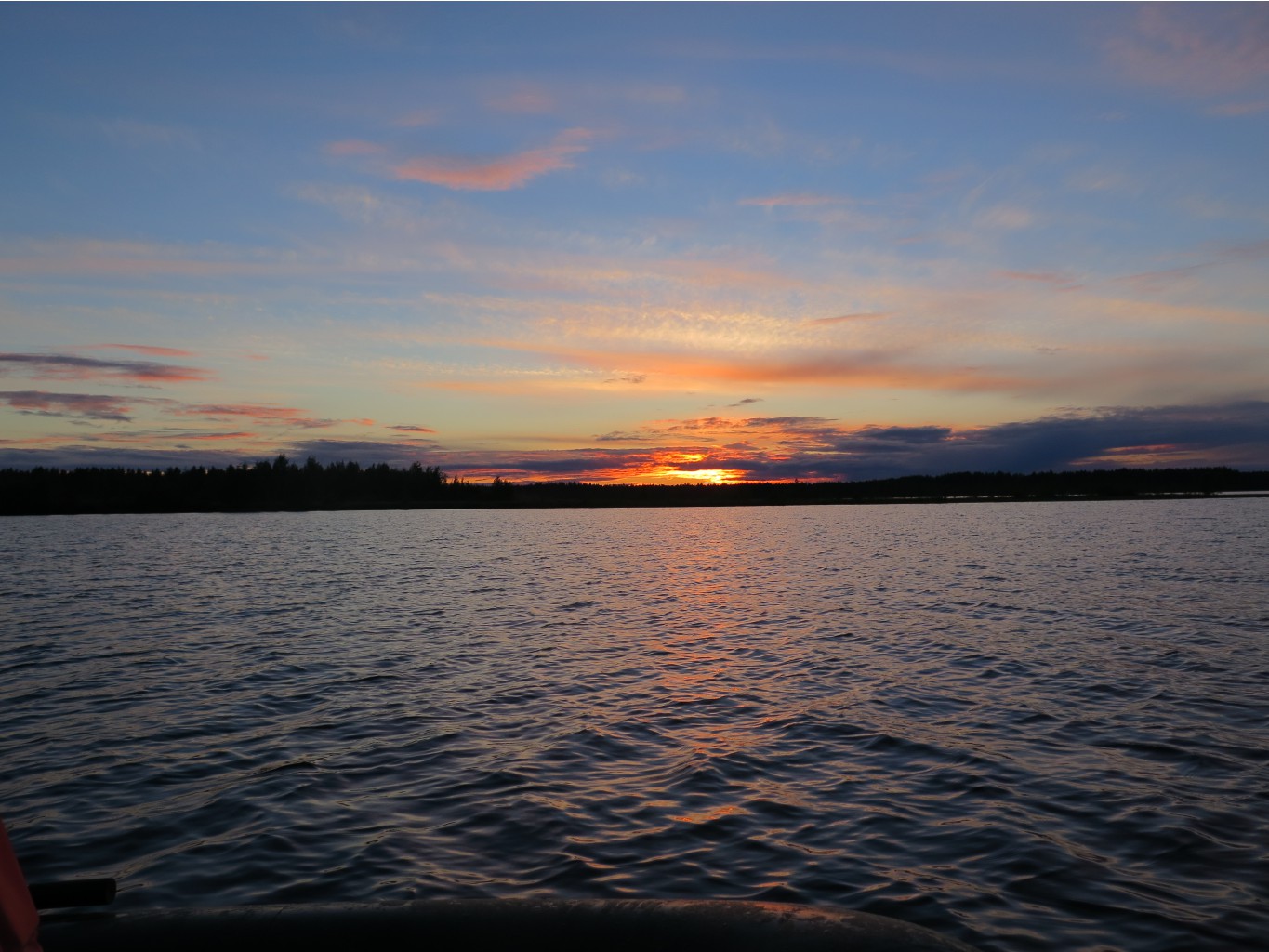 IMG 0236.JPG