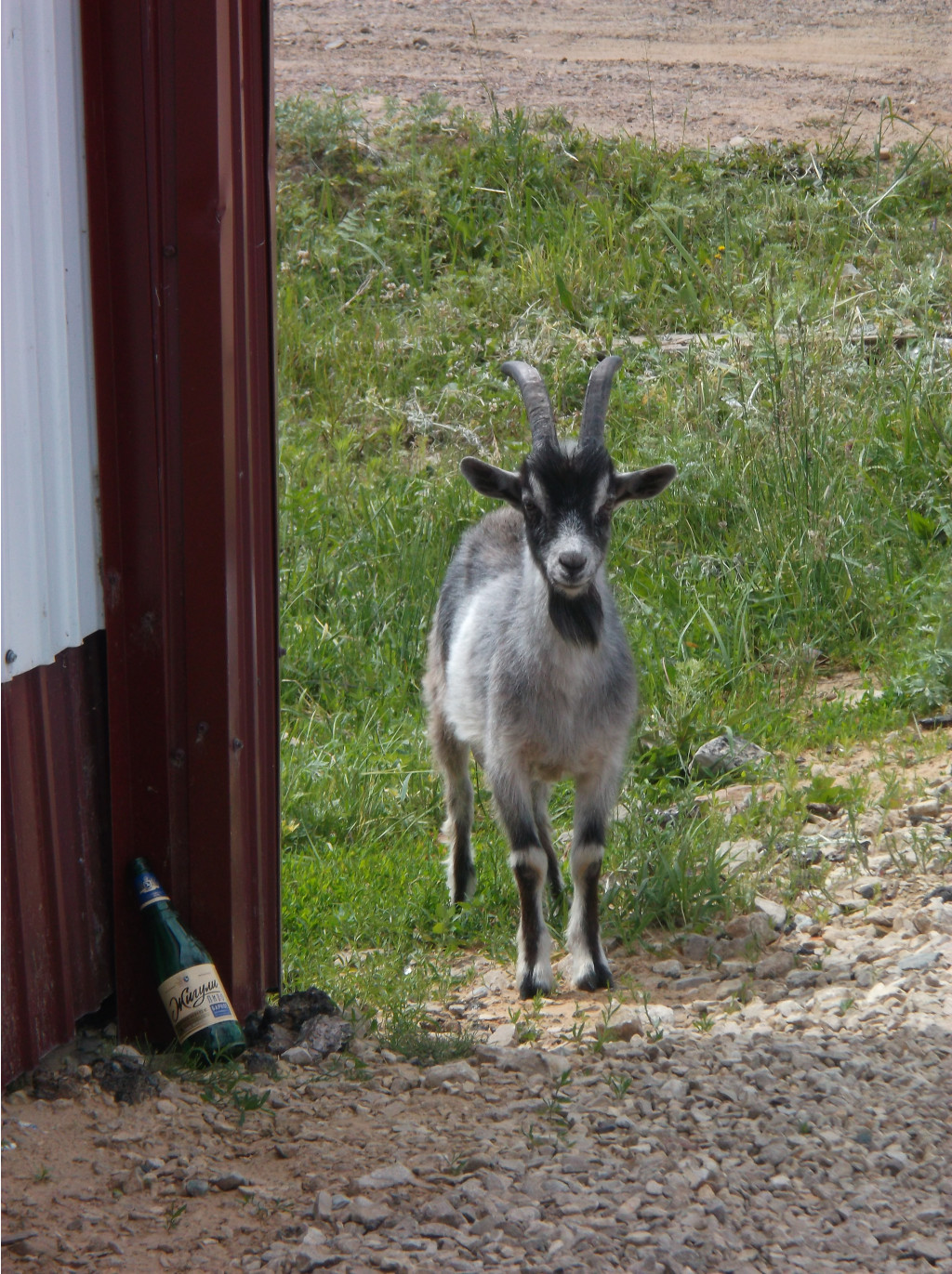 DSCF9370.JPG
