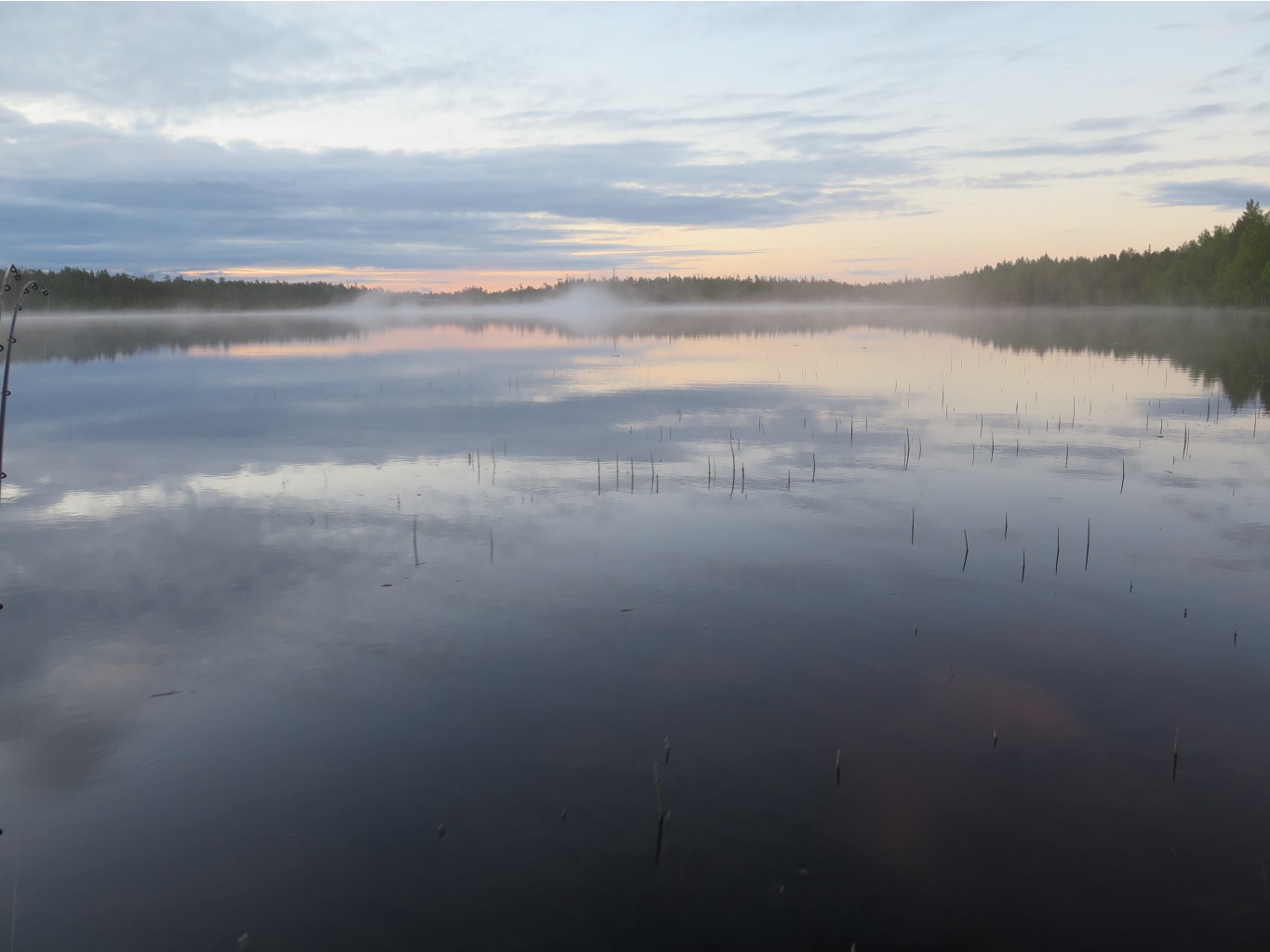 IMG 0240.JPG