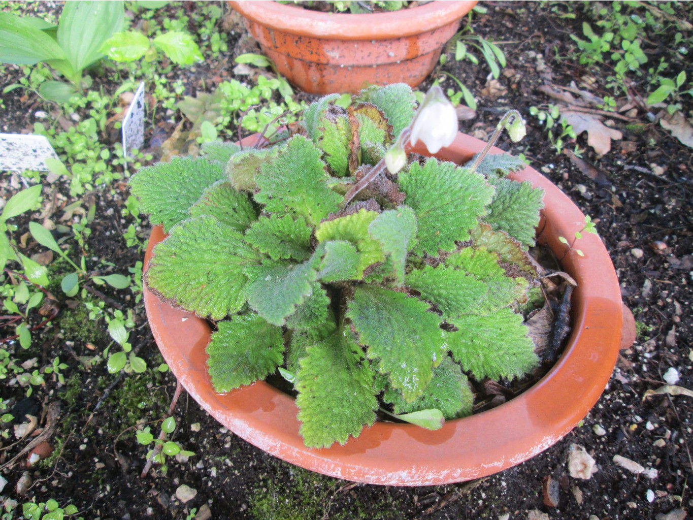 IMG 3294.JPG