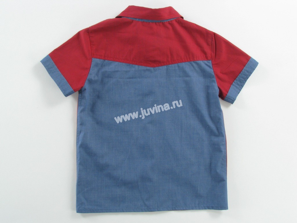 IMG 9175 ().jpg