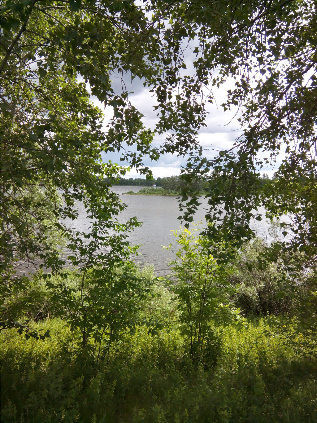 IMG 20150606 110534.jpg