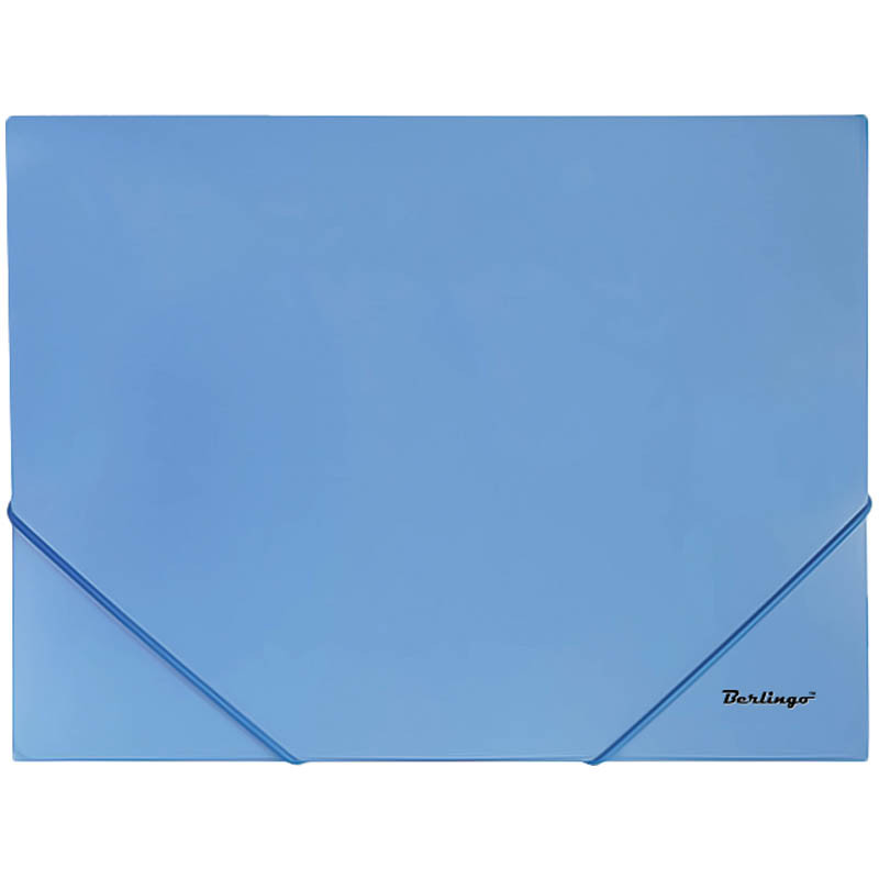 Папка на резинке Standard А4, 500мкм 36,60.jpg
