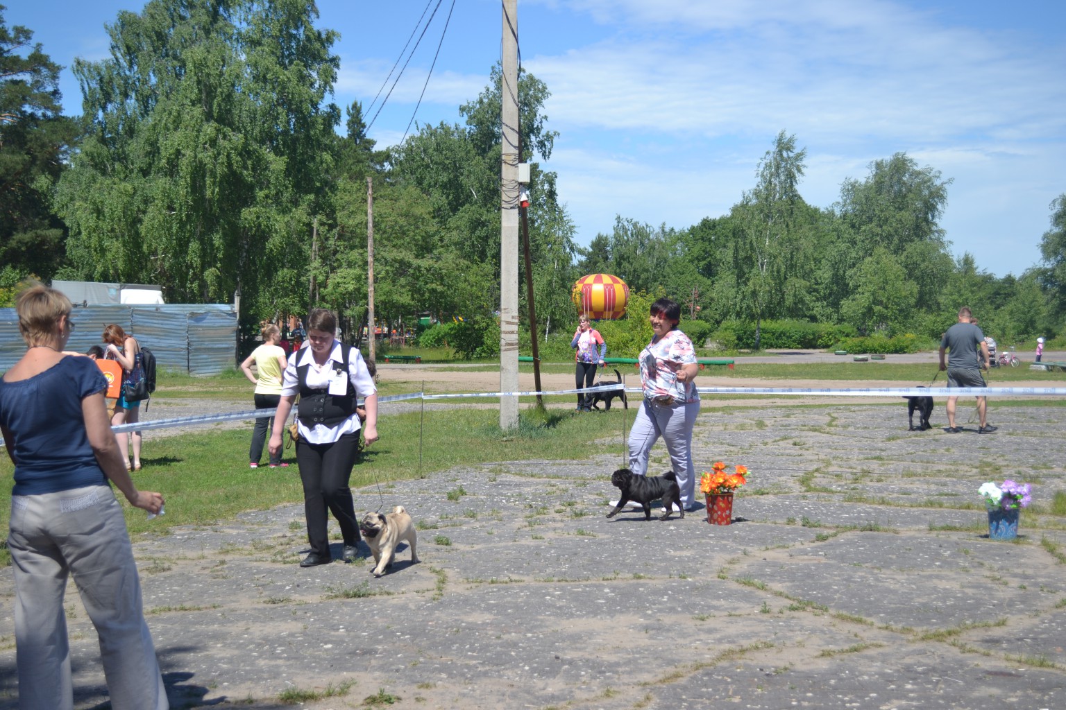 DSC 0454.JPG