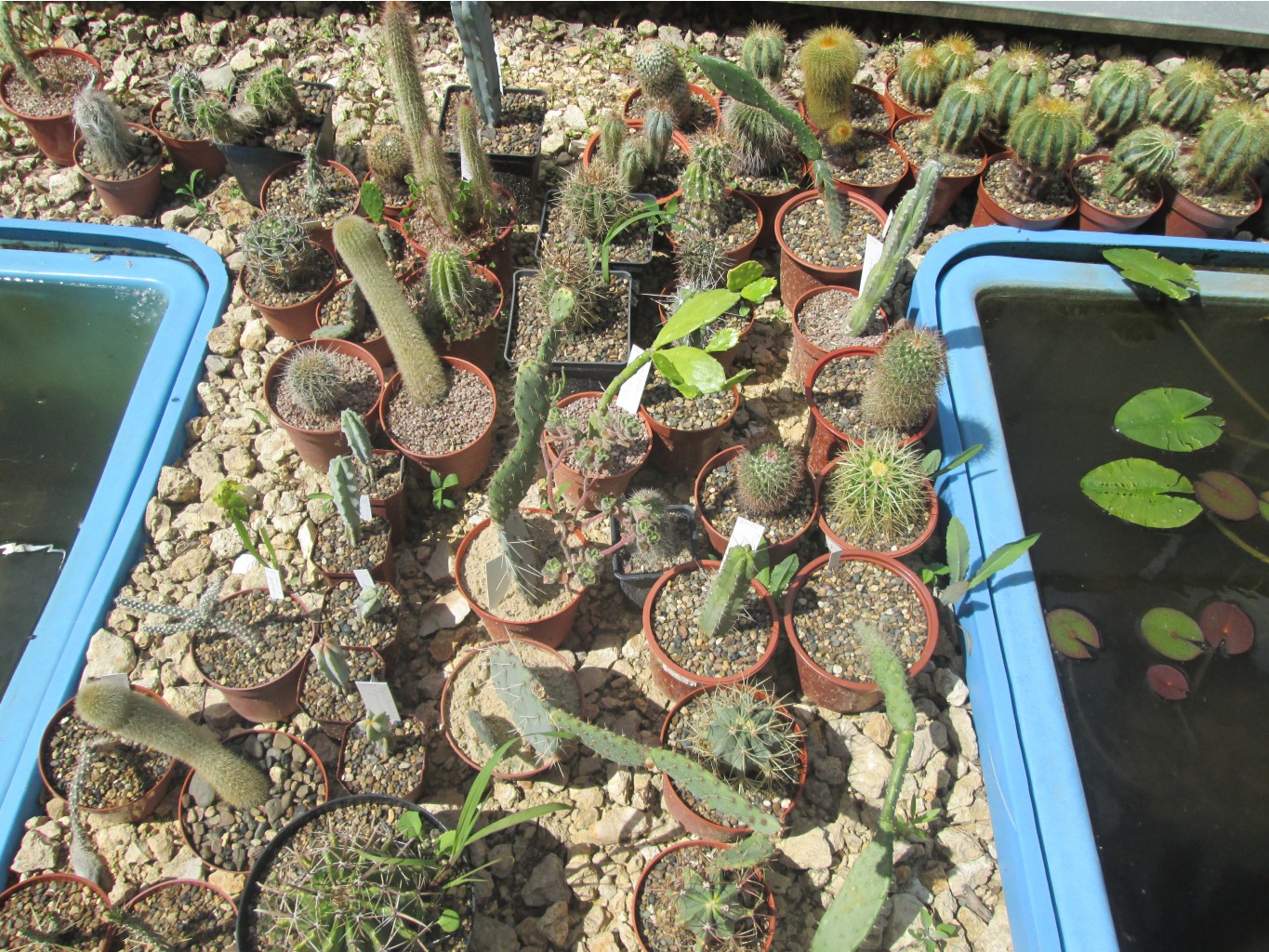 IMG 3260.JPG