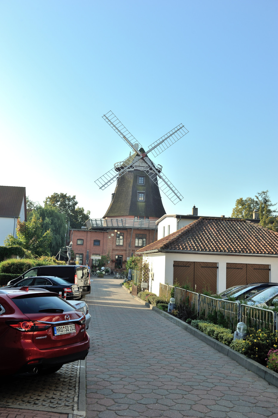 DSC 0449.JPG