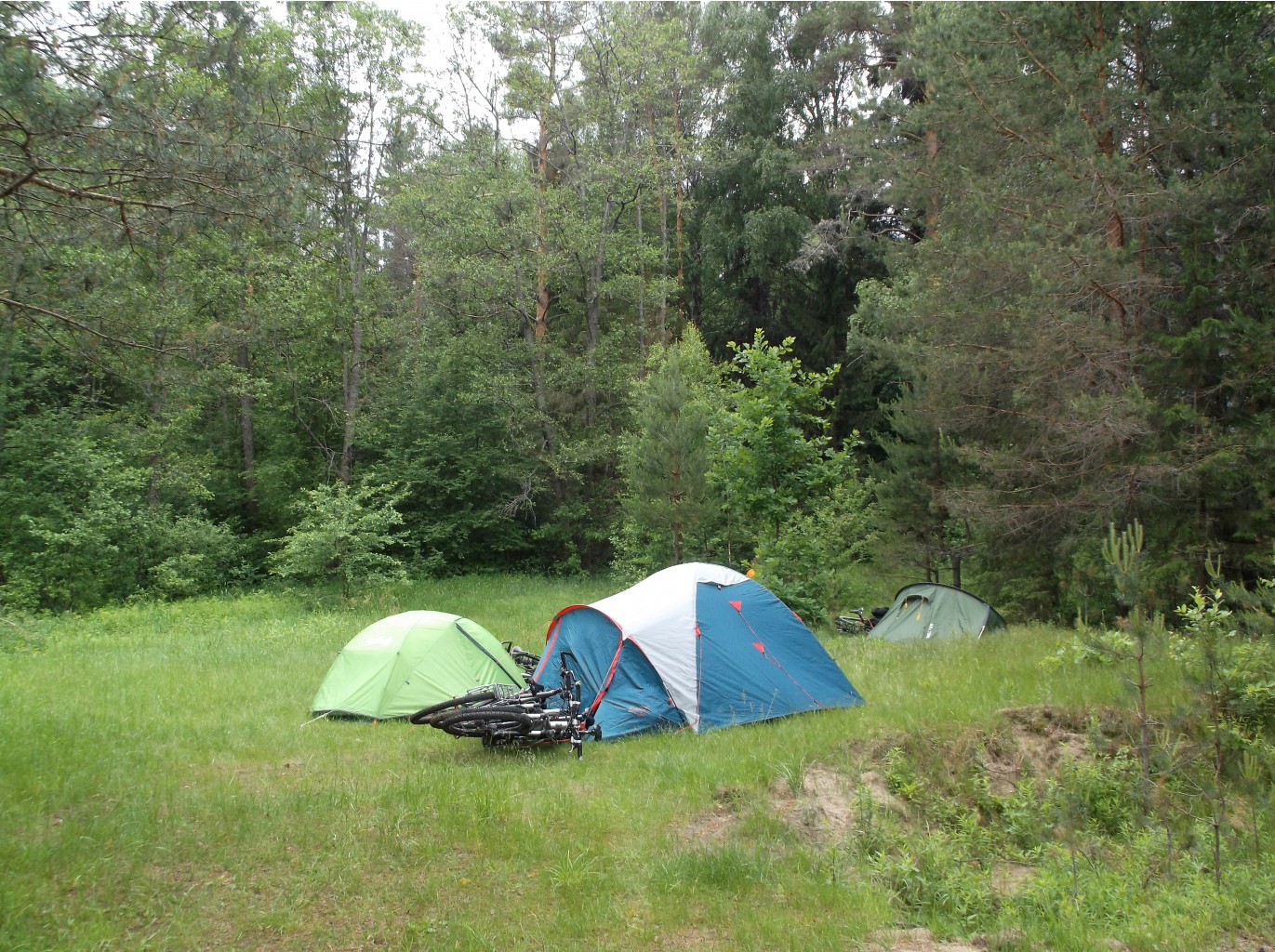 DSCF9243.JPG