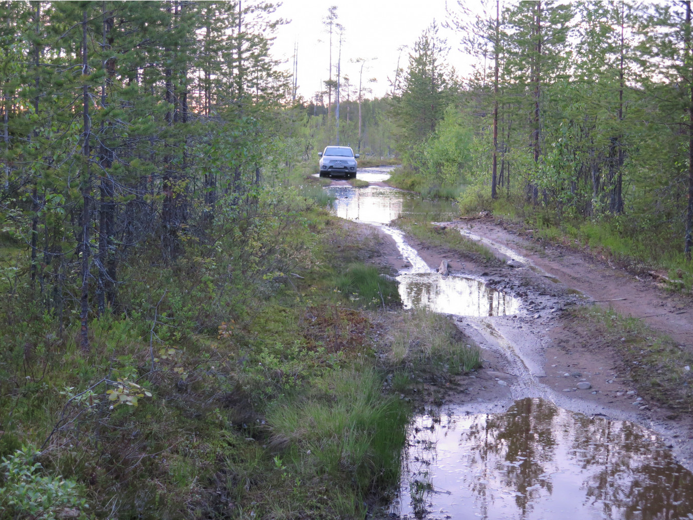 IMG 0142.JPG