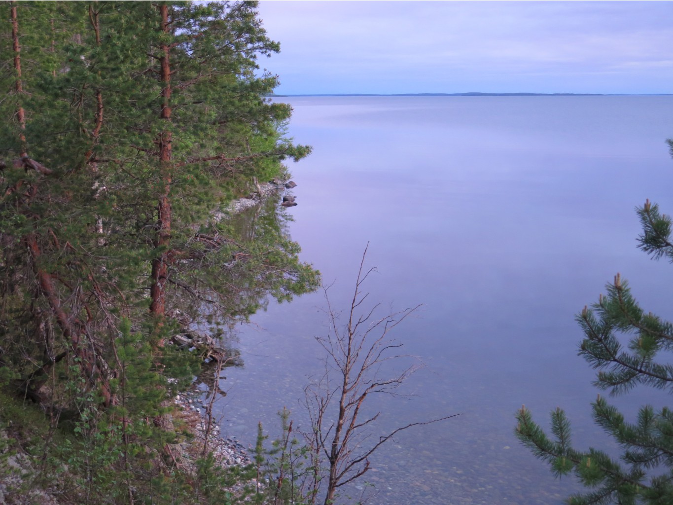 IMG 0150.JPG