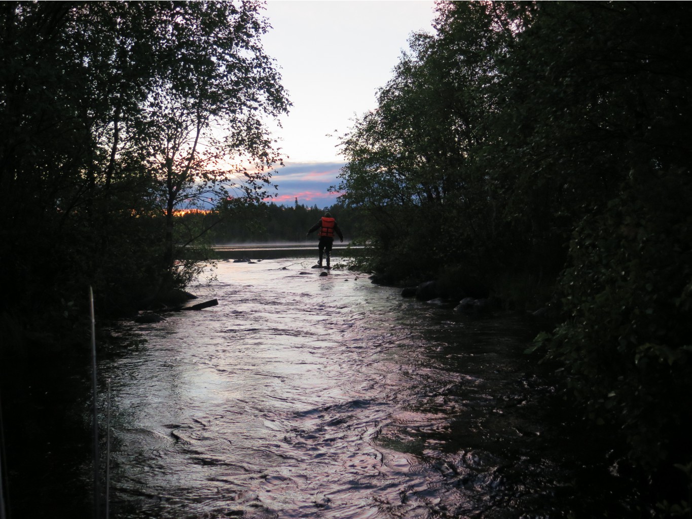 IMG 0237.JPG