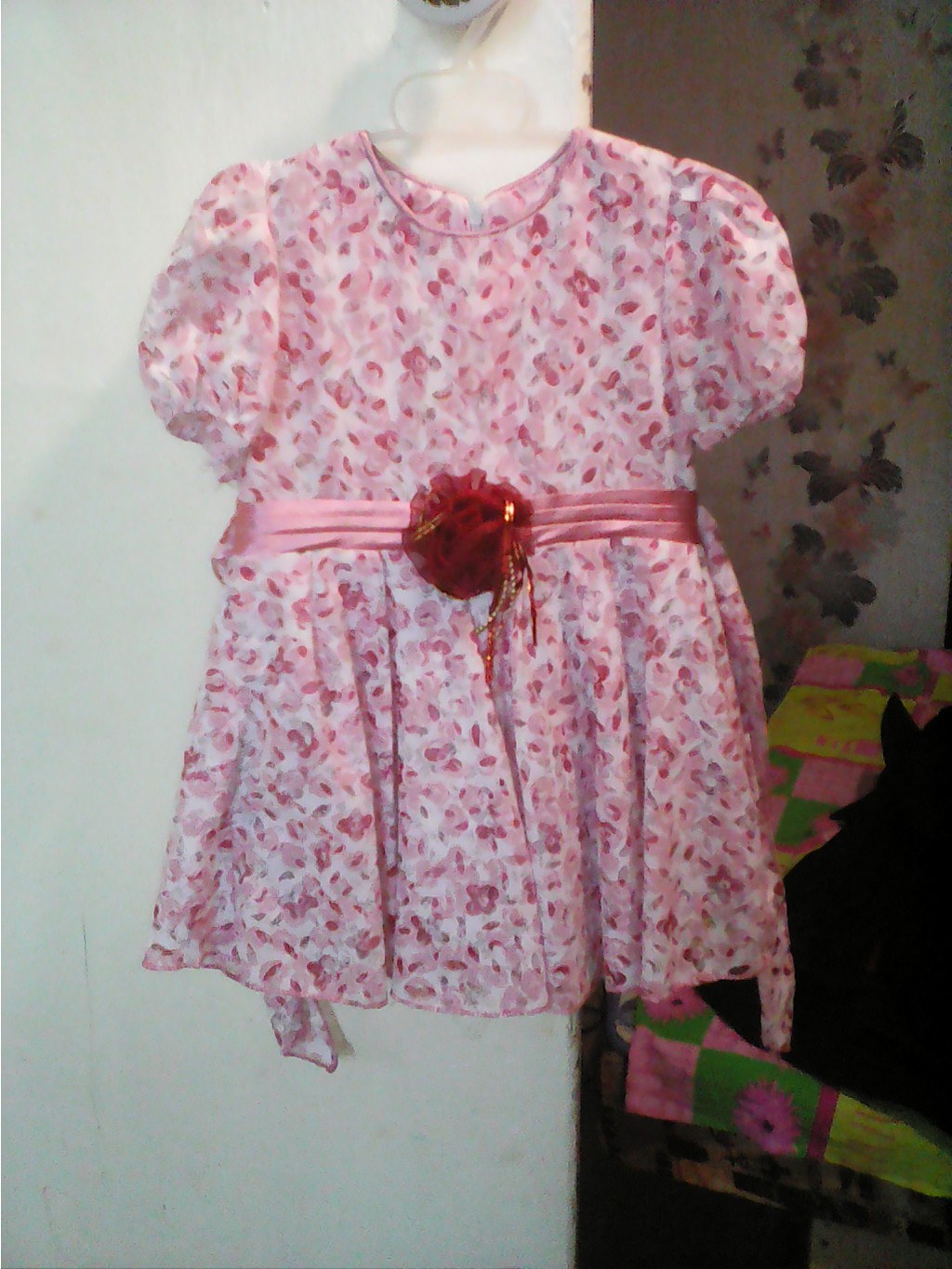 IMG 20150621 105544.jpg