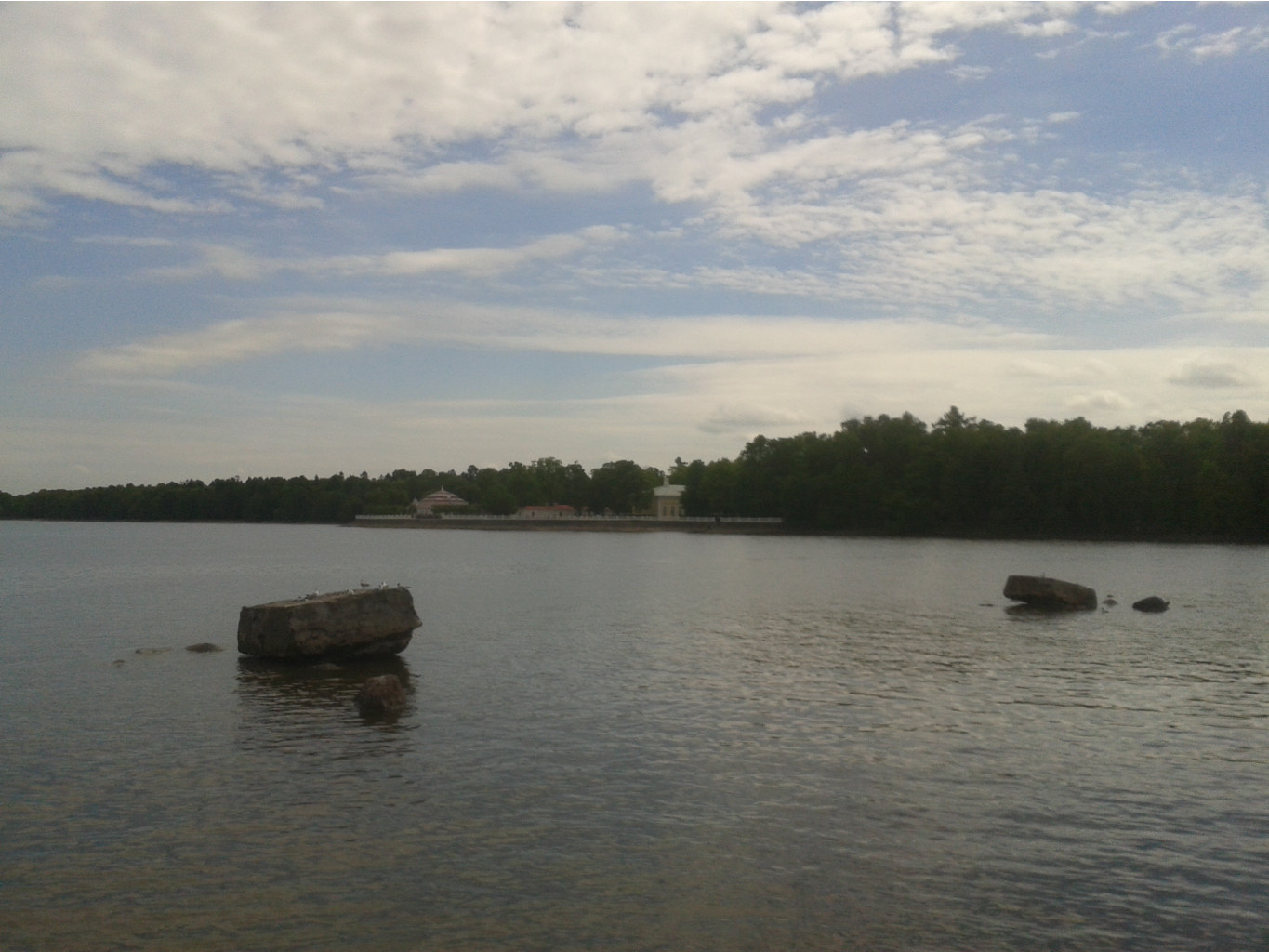 20150602 131223.jpg