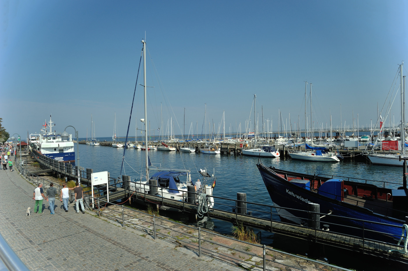 DSC 0363.JPG